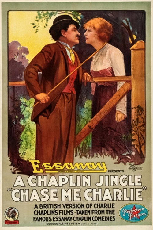 Chase Me Charlie poster