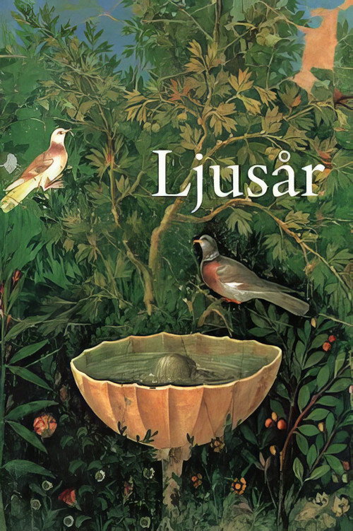 Ljusår poster