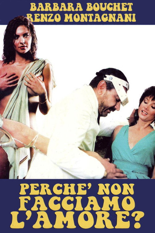 Perché non facciamo l'amore? poster
