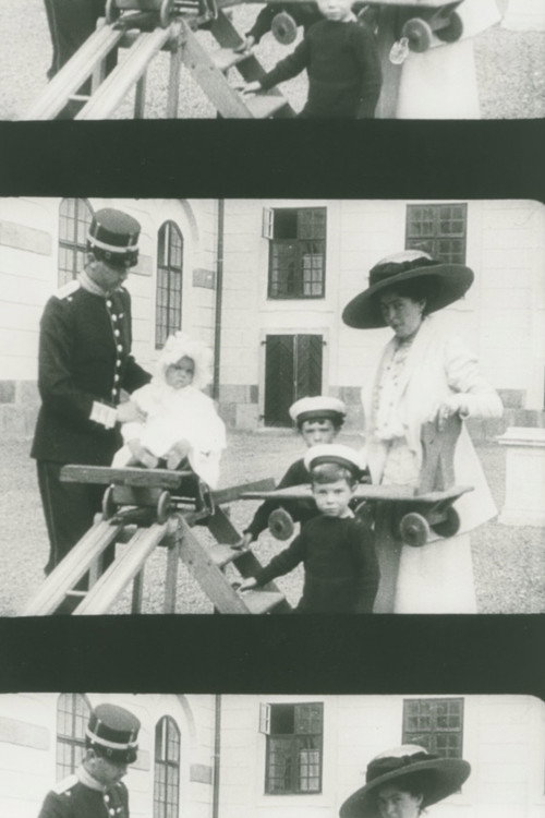 The Crown Prince Couple at Drottningholm poster