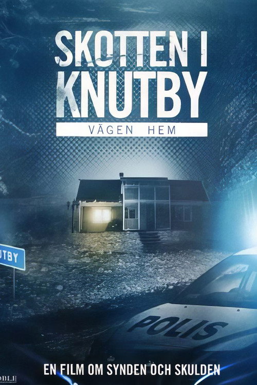 Vägen hem poster