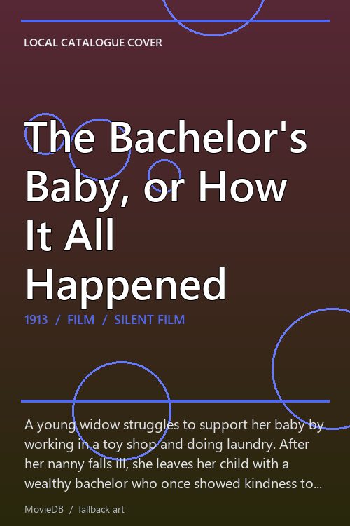 The Bachelor's Baby, or How It All Happened poster