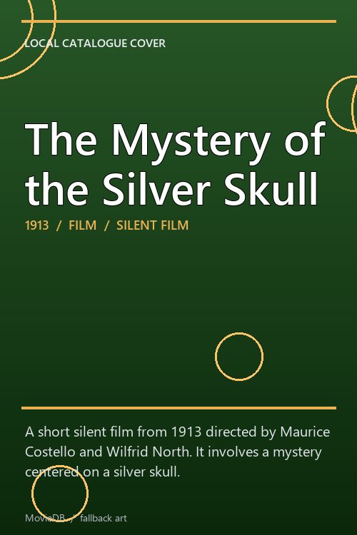 The Mystery of the Silver Skull poster