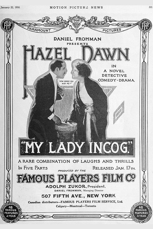 My Lady Incog poster