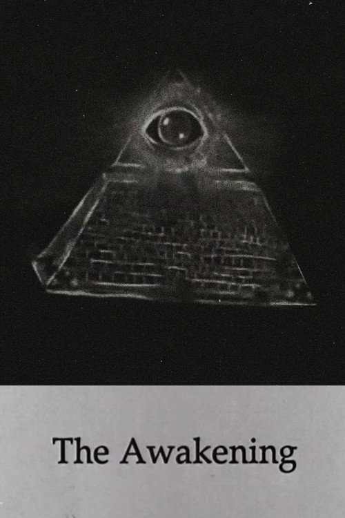 The Awakening poster