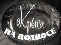 Крыса на подносе poster