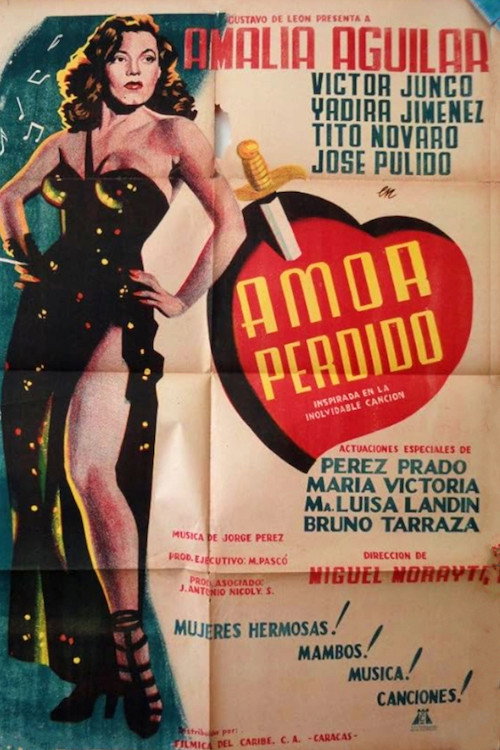 Amor perdido poster