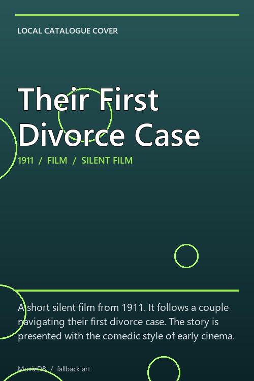 Their First Divorce Case poster