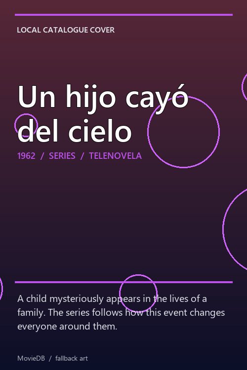 Un hijo cayó del cielo poster