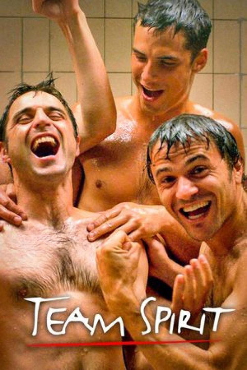 Team Spirit: De Serie poster