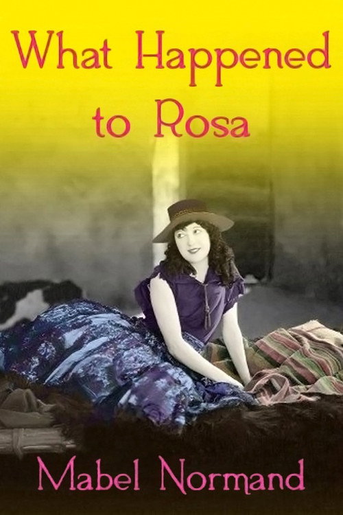 What Happened to Rosa poster
