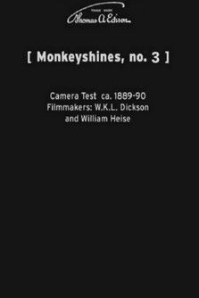Monkeyshines, No. 3 poster