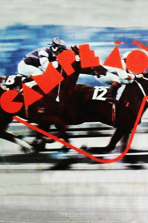 Campeão poster