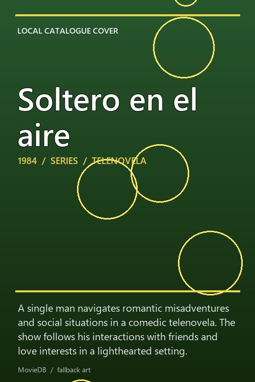 Soltero en el aire poster