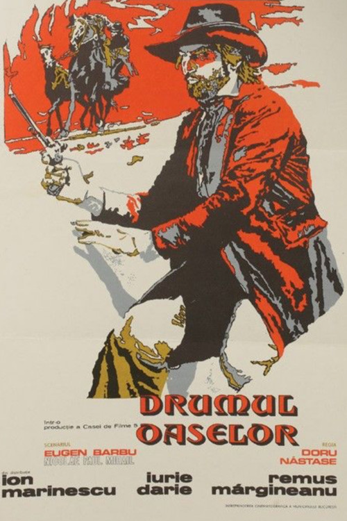 Drumul oaselor poster