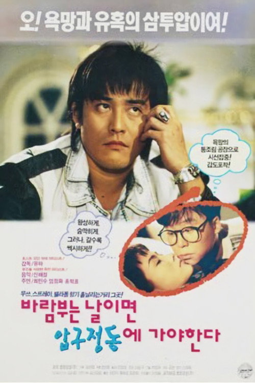 On a Windy Day We Must Go to Apgujeong poster
