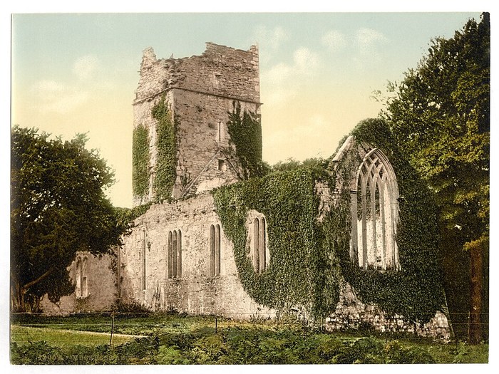 The Franciscan Friars of Killarney poster