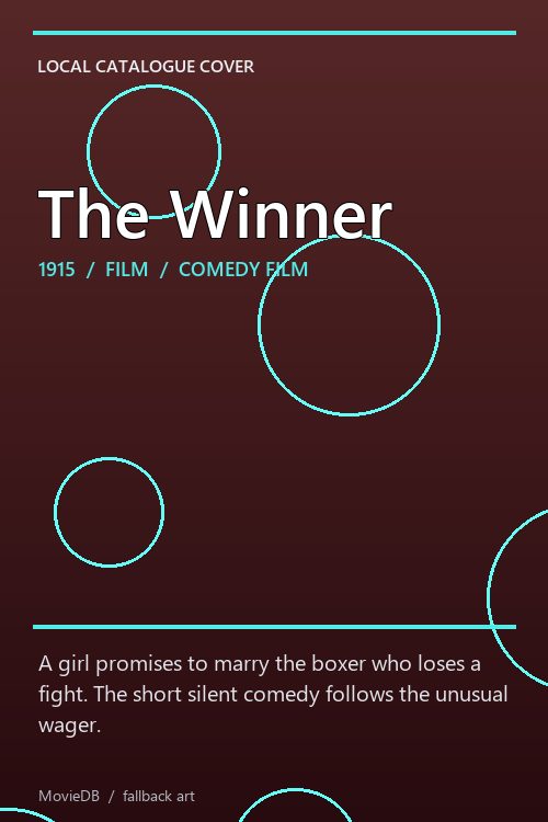 The Winner poster