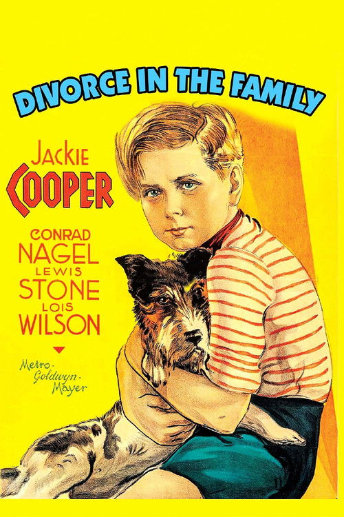 Divorce in the Family poster