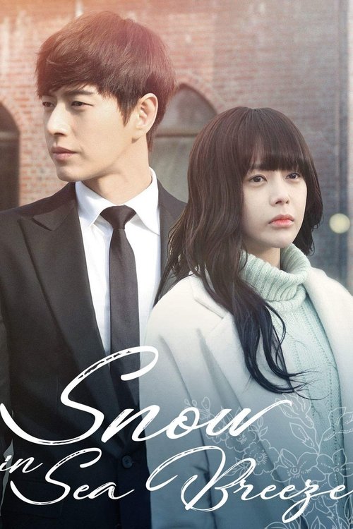 Snow Is on the Sea poster