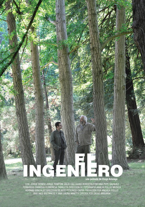 El ingeniero poster