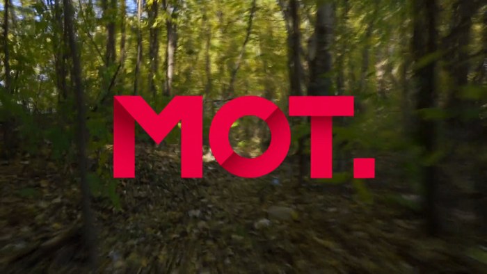 MOT poster