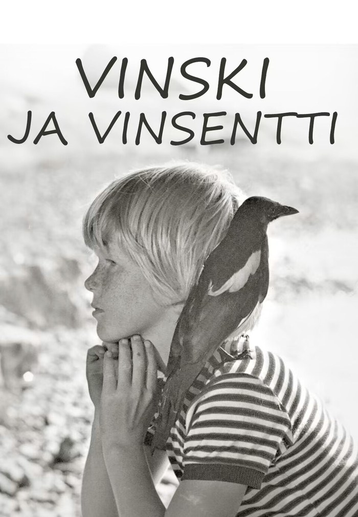 Vinski and Vinsentti poster