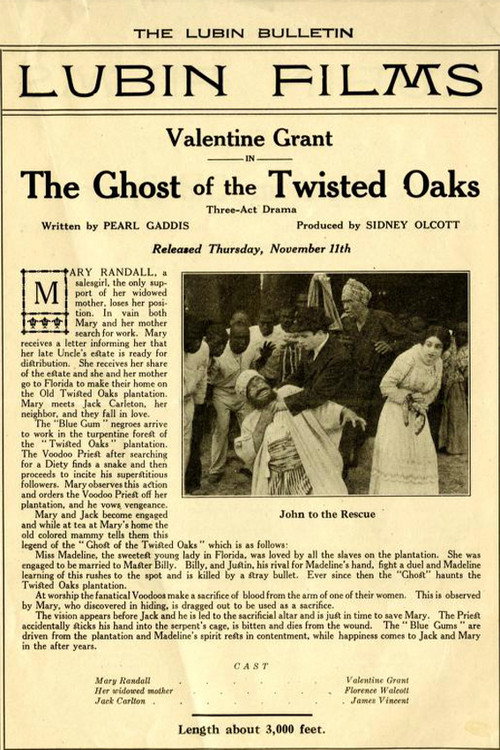 The Ghost of Twisted Oaks poster