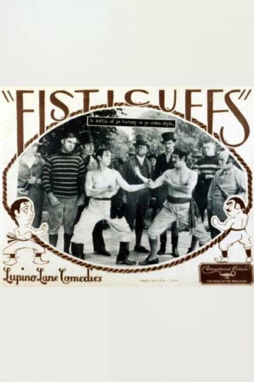 Fisticuffs poster