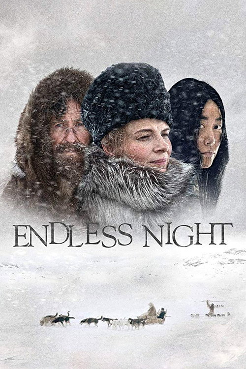 Nobody Wants the Night poster