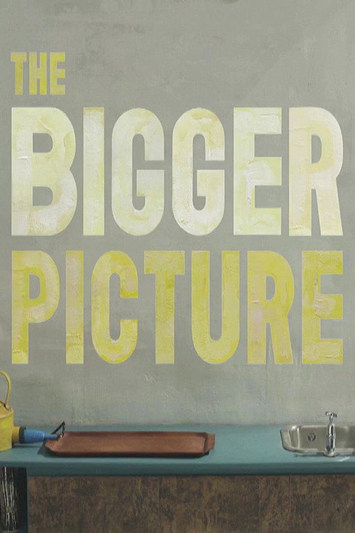 The Bigger Picture poster