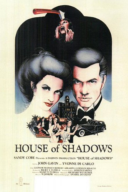 La casa de las sombras poster