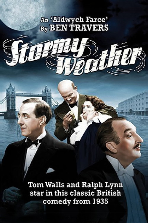 Stormy Weather poster