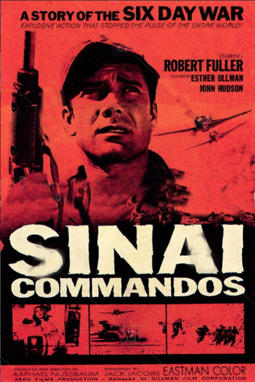 Sinai Commandos poster