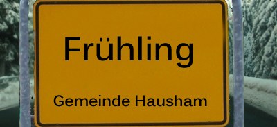 Frühling in Weiß poster