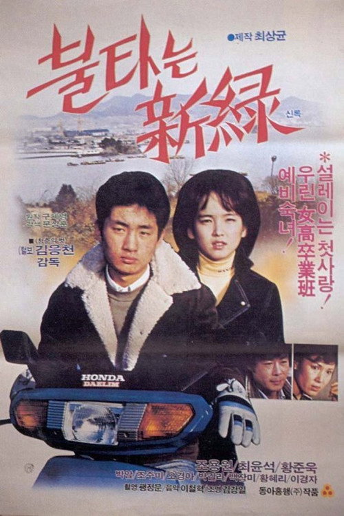 A Country Affair poster