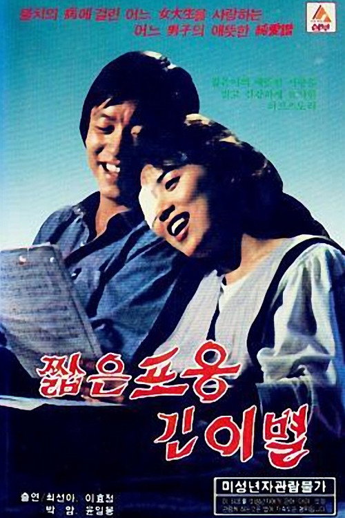 Short Embrace, Long Goodbye poster