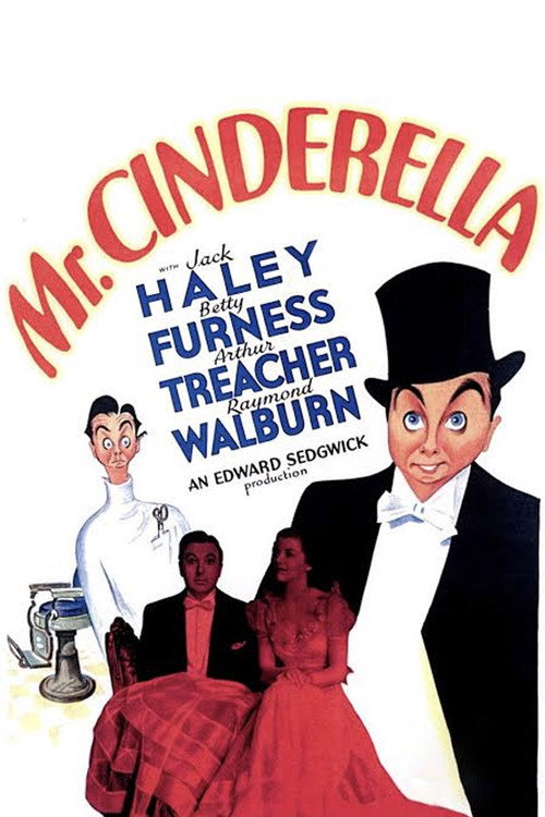 Mr. Cinderella poster