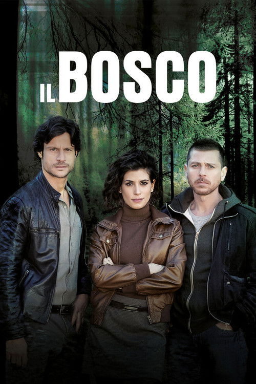 Il bosco poster