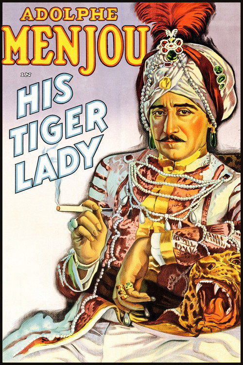 His Tiger Wife poster