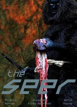 The Seer poster