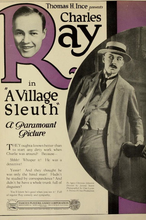 The Village Sleuth poster