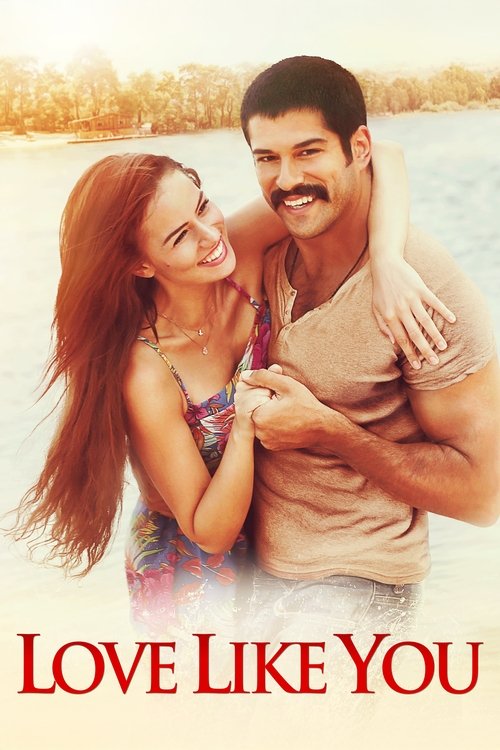 Aşk Sana Benzer poster