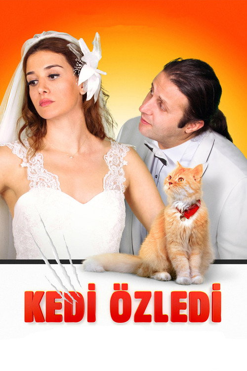 The Cat Misses poster