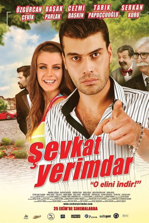 Sevkat Yerimdar poster
