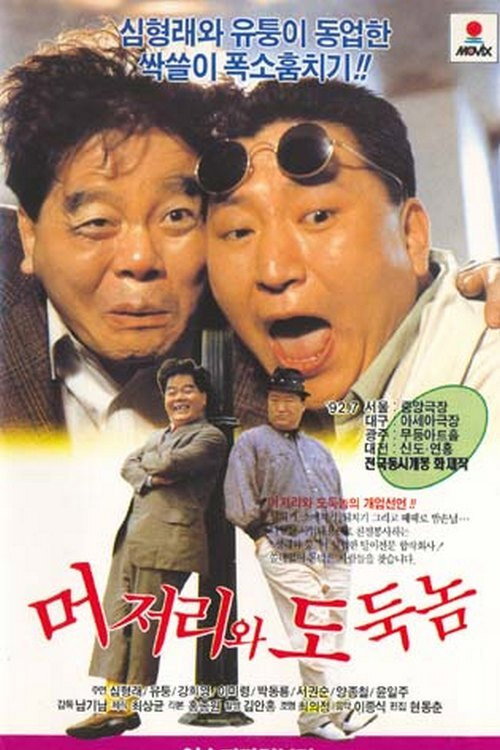 The Fool And The Thief poster
