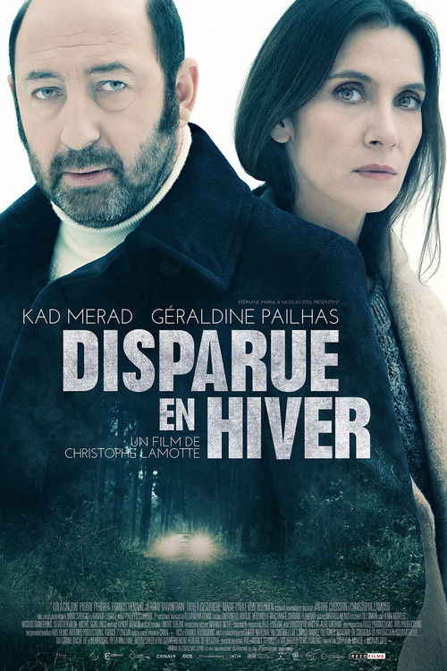 Disparue en hiver poster