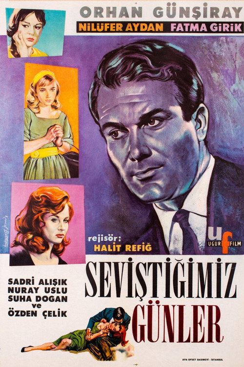 Seviştiğimiz Günler poster