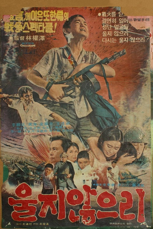I won't cry poster