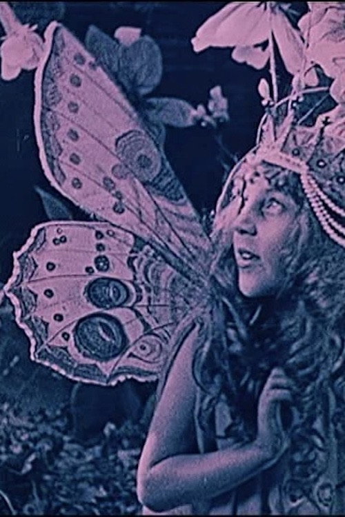 La Reine des Papillons poster